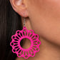 Dominican Daisy - Pink